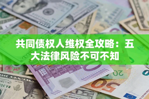 武汉共同债权人维权全攻略：五大法律风险不可不知