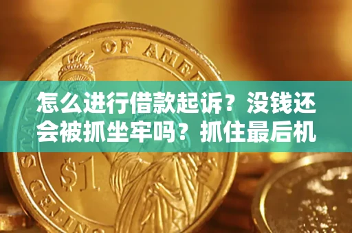 武汉怎么进行借款起诉？没钱还会被抓坐牢吗？抓住最后机会！