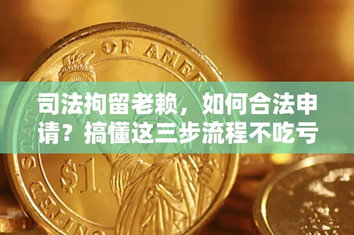 武汉司法拘留老赖，如何合法申请？搞懂这三步流程不吃亏！