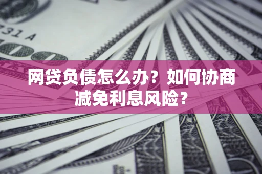 武汉网贷负债怎么办？如何协商减免利息风险？
