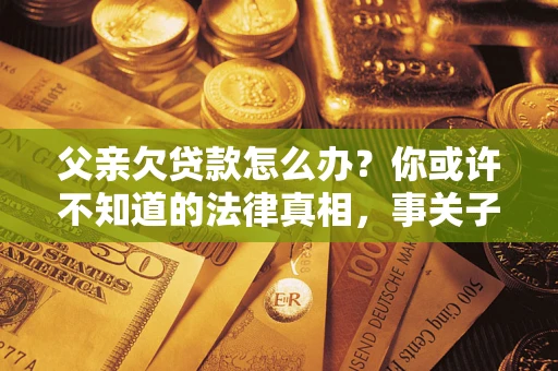 武汉父亲欠贷款怎么办？你或许不知道的法律真相，事关子女未来