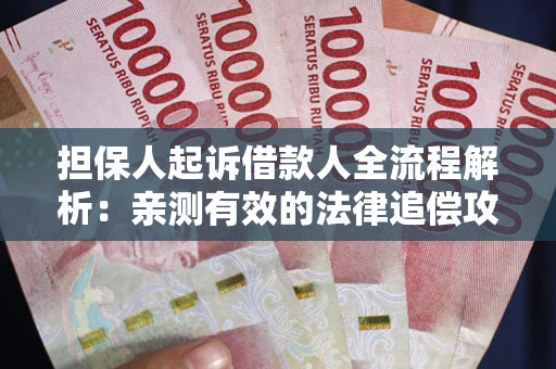 武汉担保人起诉借款人全流程解析：亲测有效的法律追偿攻略