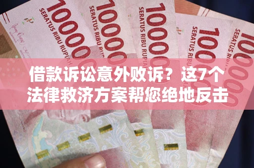 武汉借款诉讼意外败诉？这7个法律救济方案帮您绝地反击！