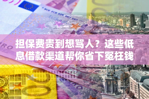 武汉担保费贵到想骂人？这些低息借款渠道帮你省下冤枉钱