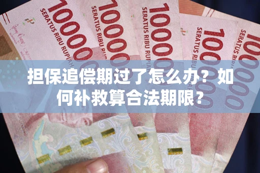 武汉担保追偿期过了怎么办？如何补救算合法期限？