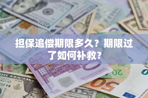 武汉担保追偿期限多久？期限过了如何补救？