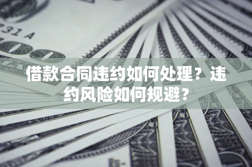 武汉借款合同违约如何处理？违约风险如何规避？