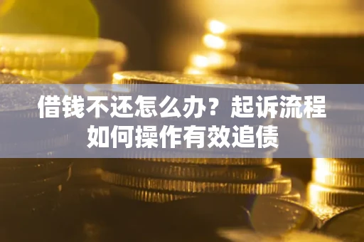武汉借钱不还怎么办？起诉流程如何操作有效追债