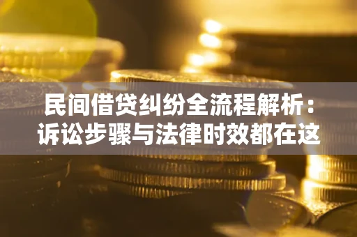武汉民间借贷纠纷全流程解析：诉讼步骤与法律时效都在这儿了