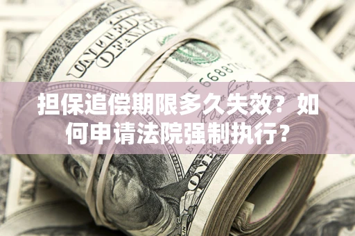 武汉担保追偿期限多久失效？如何申请法院强制执行？