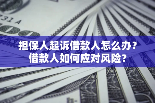 武汉担保人起诉借款人怎么办？借款人如何应对风险？