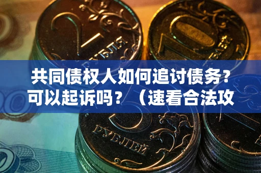 武汉共同债权人如何追讨债务？可以起诉吗？（速看合法攻略）