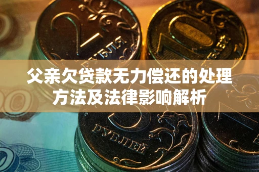 武汉父亲欠贷款无力偿还的处理方法及法律影响解析