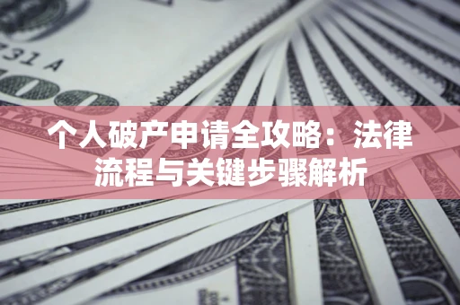 武汉个人破产申请全攻略：法律流程与关键步骤解析
